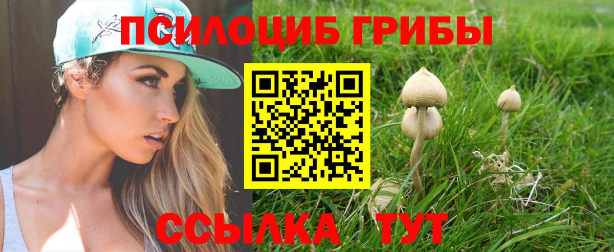 Псилоцибиновые грибы Psilocybe  Вход с VPN  Воткинск 